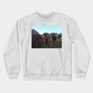 Scottish Highland Cattle Calves 1851 Crewneck Sweatshirt